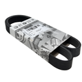 Correa trapecial poli-V grupo VAG | 6 nervaduras, 1030 mm (04L260849G)
