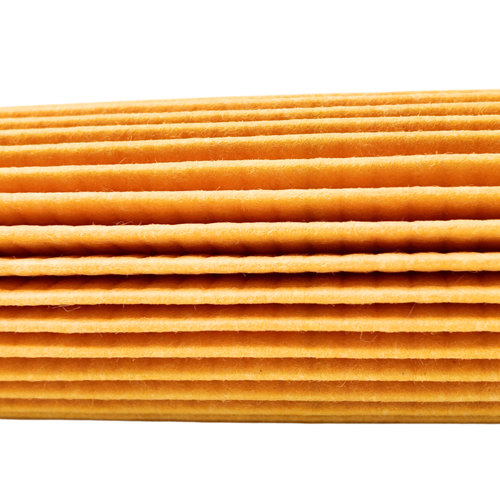 Filtro de aceite Grupo VAG Volkswagen Seat Audi Skoda | Original cartucho (05L115562A)